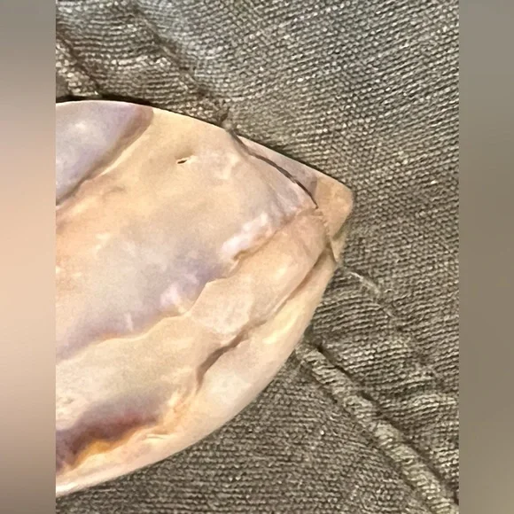 DA-NANG CROPPED CARGO - Picture 8 of 16